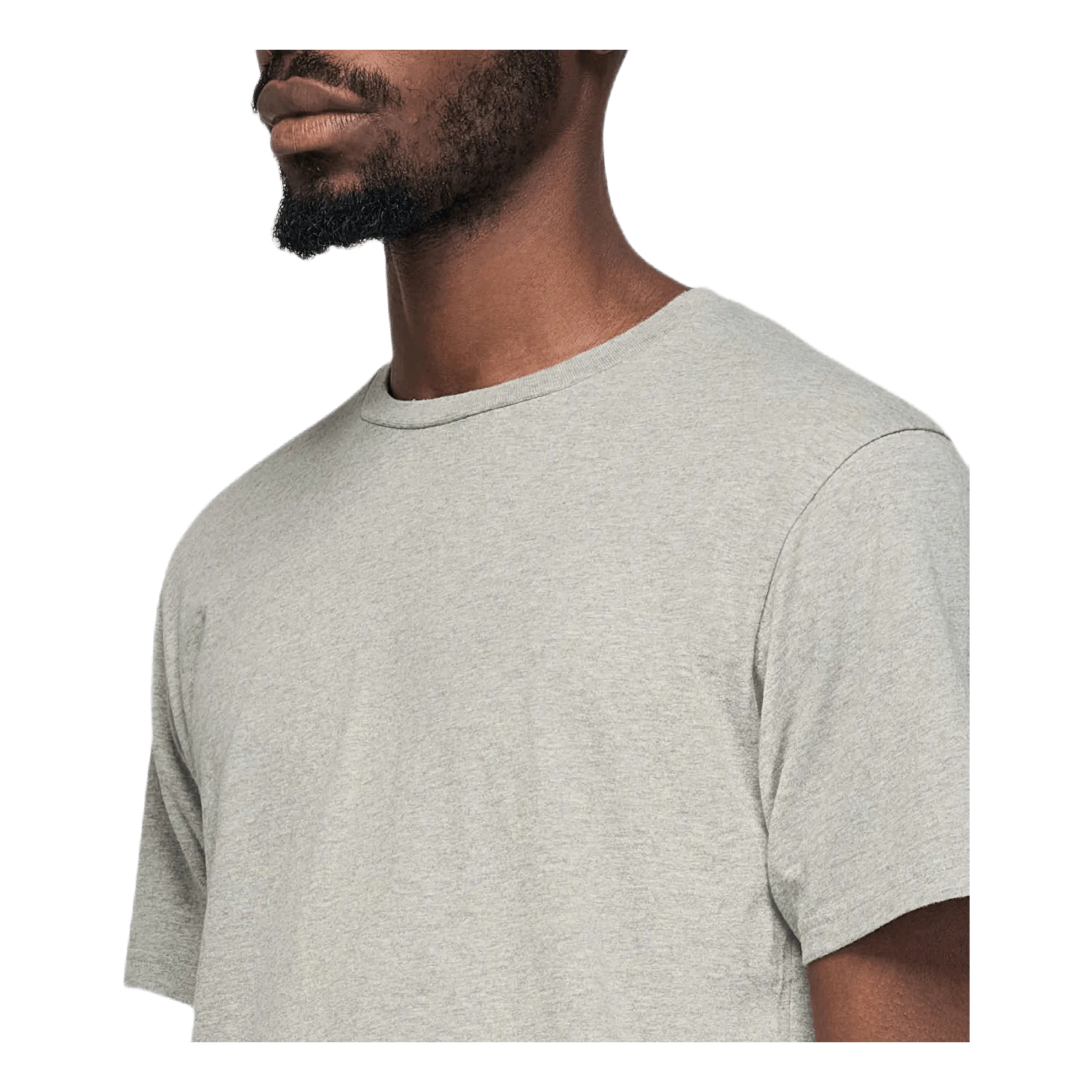 Classic Organic T-shirt Gray